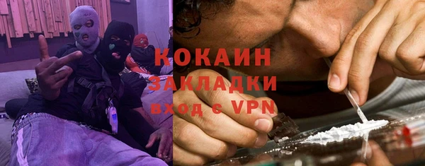 шишки Сатка